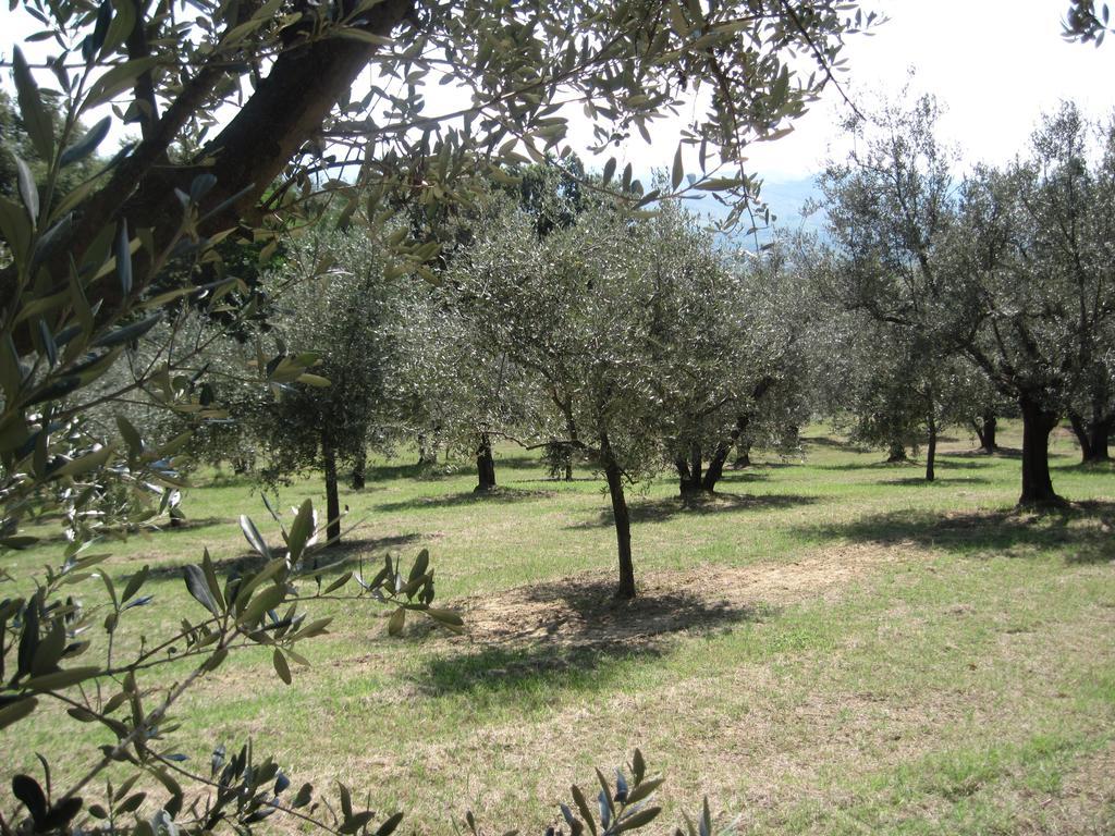 Quartolo Tenuta Olmatello מראה חיצוני תמונה