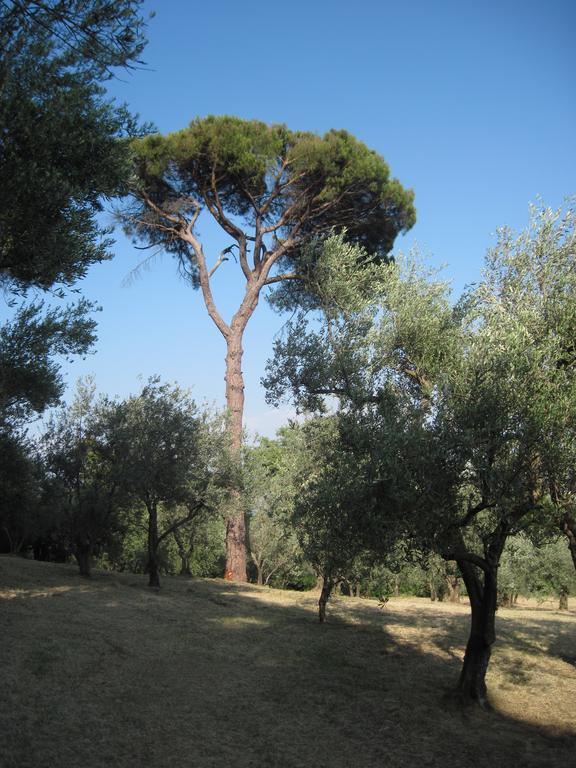 Quartolo Tenuta Olmatello מראה חיצוני תמונה